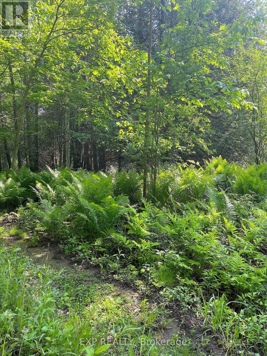 00 JOHNSTON ROAD, Horton — photo 2