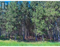00 Johnston Road, Horton, ON K7V3Z8 Photo 13