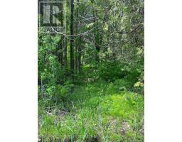 00 Johnston Road, Horton, ON K7V3Z8 Photo 6