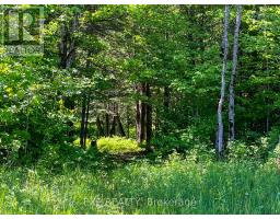00 Johnston Road, Horton, ON K7V3Z8 Photo 8
