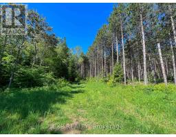 00 Johnston Road, Horton, ON K7V3Z8 Photo 9