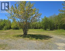 5969 Rte 117, Hardwicke, NB E9A1K1 Photo 44