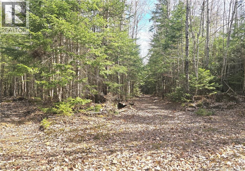 5969 Rte 117 - Image 48