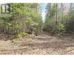 5969 Rte 117, Hardwicke, NB E9A1K1 Photo 48
