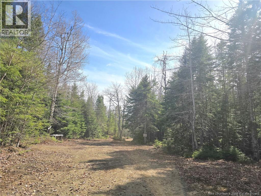 5969 Rte 117 - Image 47