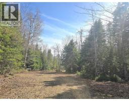 5969 Rte 117, Hardwicke, NB E9A1K1 Photo 47