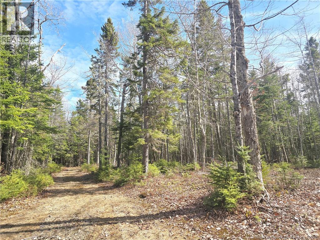 5969 Rte 117 - Image 46