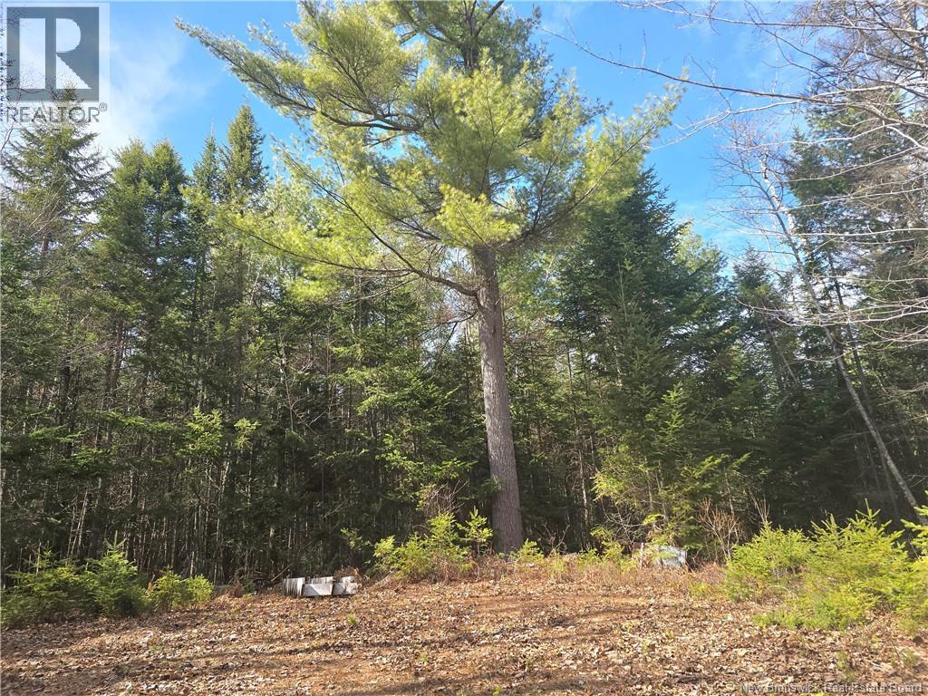 5969 Rte 117 - Image 49