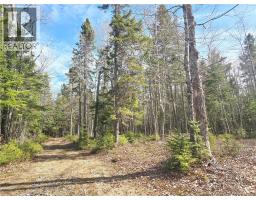5969 Rte 117, Hardwicke, NB E9A1K1 Photo 46