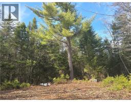 5969 Rte 117, Hardwicke, NB E9A1K1 Photo 49