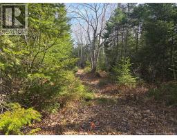 5969 Rte 117, Hardwicke, NB E9A1K1 Photo 50