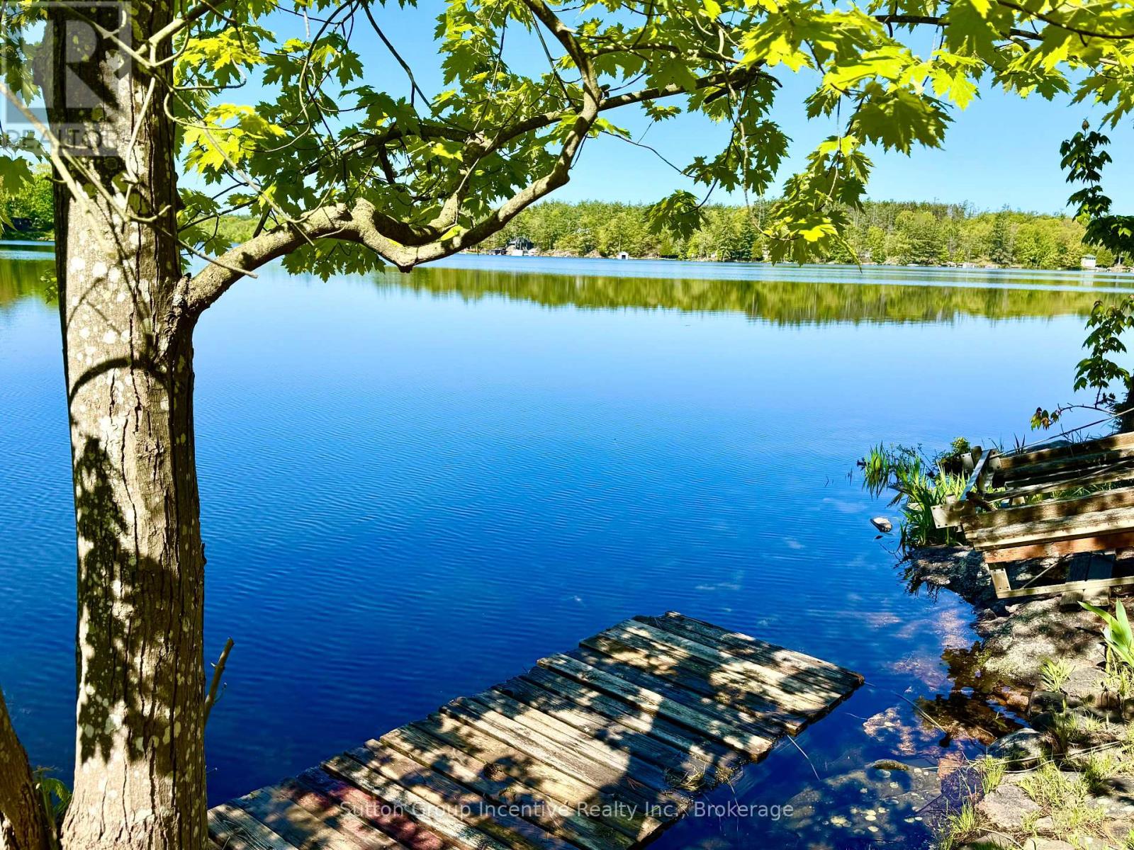1017 GOLDFINCH COURT - 3