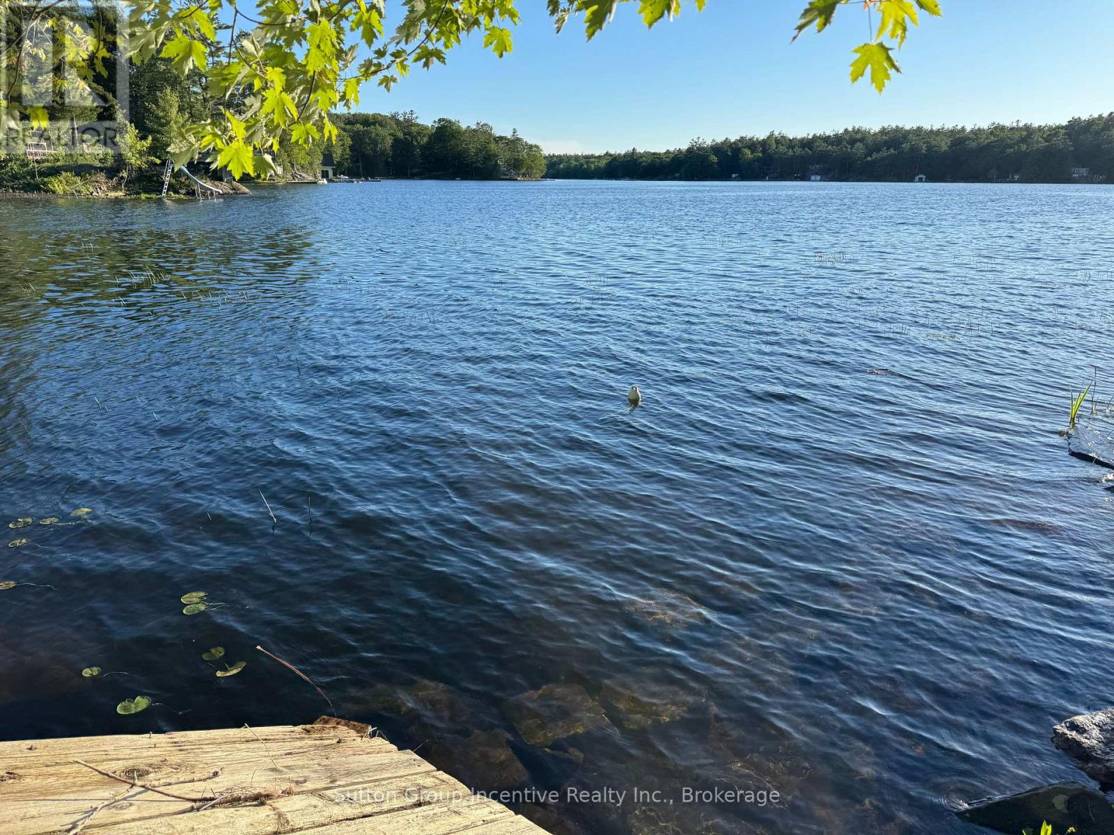 1017 GOLDFINCH COURT - 27