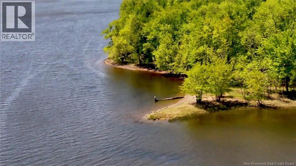 Photo 14 of 21
