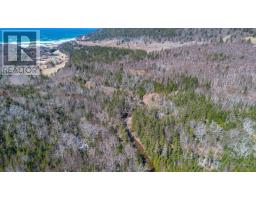 258 Broad Cove Marsh Road, Inverness County, NS B0E1N0 Photo 25