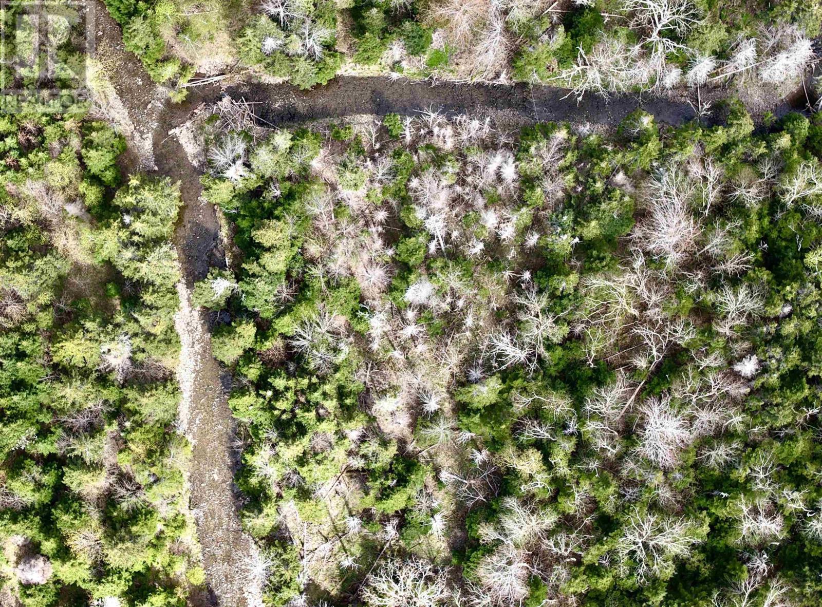 258 Broad Cove Marsh Road - 35