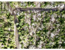 258 Broad Cove Marsh Road, Inverness County, NS B0E1N0 Photo 35