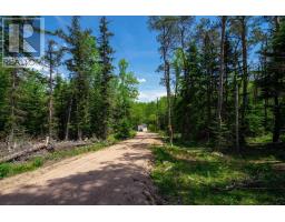1210 Highway 10, Springfield, NS B0R1H0 Photo 17