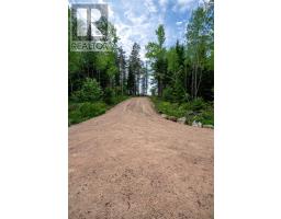 1210 Highway 10, Springfield, NS B0R1H0 Photo 28