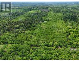 1210 Highway 10, Springfield, NS B0R1H0 Photo 6