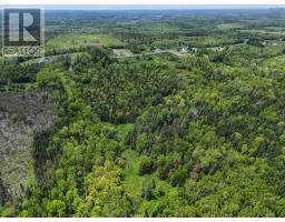 1210 Highway 10, Springfield, NS B0R1H0 Photo 7