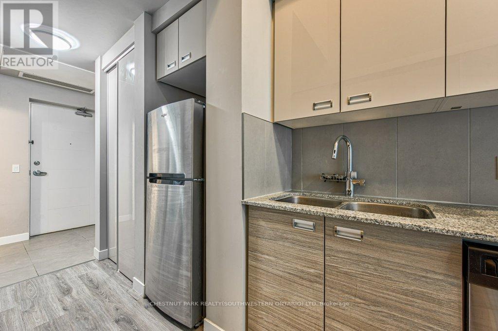 #101 308 LESTER STREET - 17