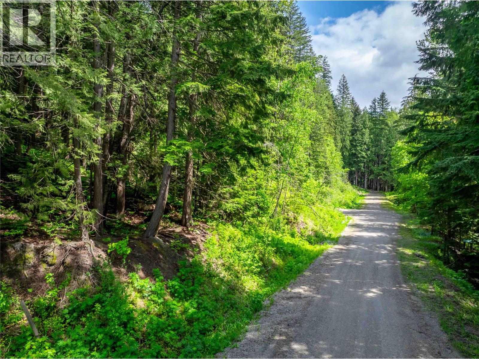 714 Cedar Street, Revelstoke