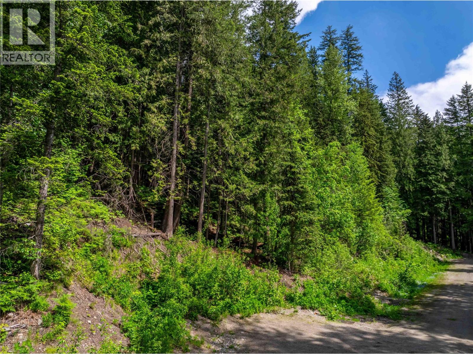 714 Cedar Street, Revelstoke