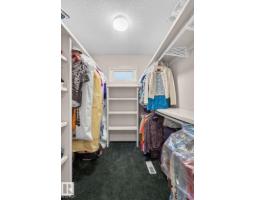 229 Wilson Lane Nw, Edmonton, AB T6M2K8 Photo 42