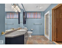 229 Wilson Lane Nw, Edmonton, AB T6M2K8 Photo 51