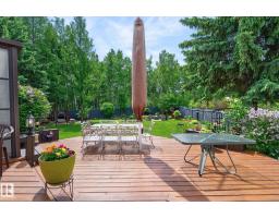 229 Wilson Lane Nw, Edmonton, AB T6M2K8 Photo 54