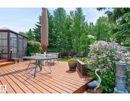 229 Wilson Lane Nw, Edmonton, AB T6M2K8 Photo 59