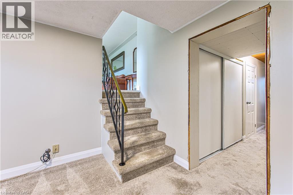 46 ELROY Road - 28