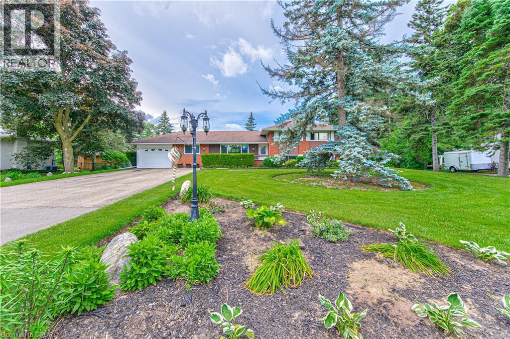 46 ELROY Road - 3