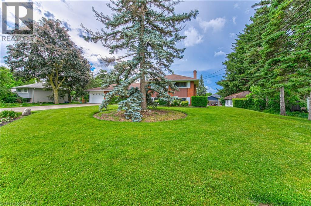 46 ELROY Road - 4