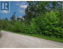 Lt 32 Rosco Lane, Kawartha Lakes, ON K0M1N0 Photo 11