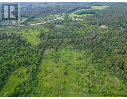 Lt 32 Rosco Lane, Kawartha Lakes, ON K0M1N0 Photo 9