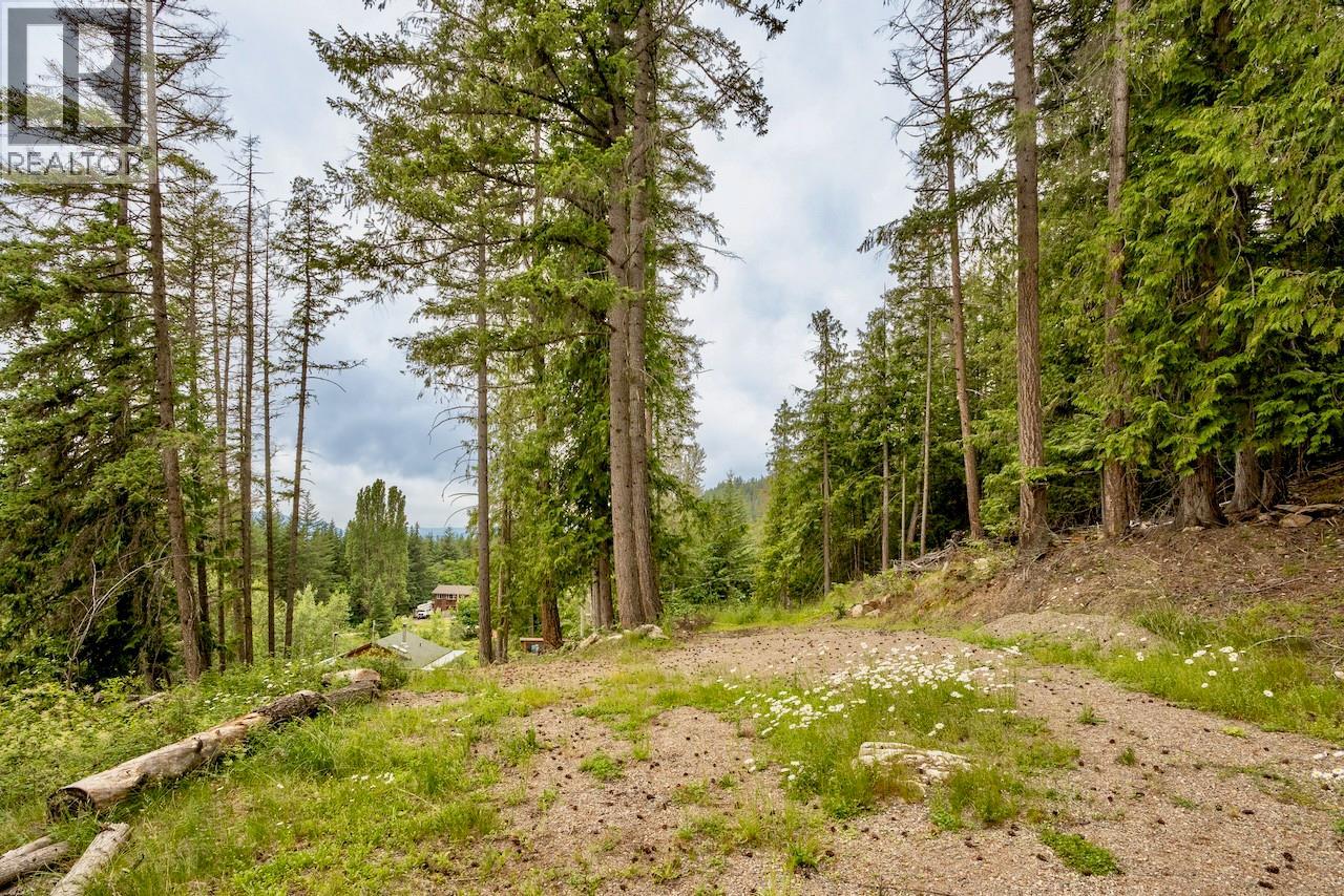 Nice flat building site on upper portion of the 0.82-acre lot, with lake and mountain views.