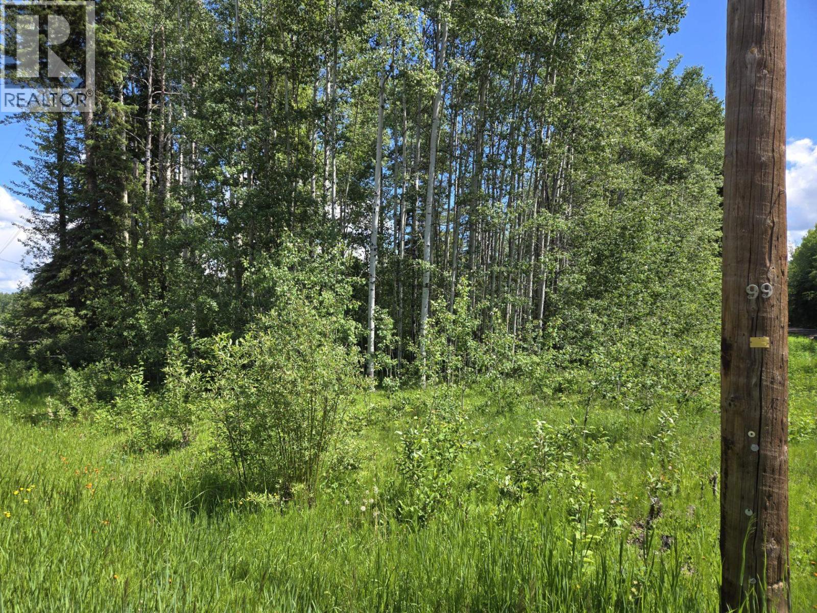 Photo 8 of 8 — 16270 ROBINSON ROAD · Prince George, BC