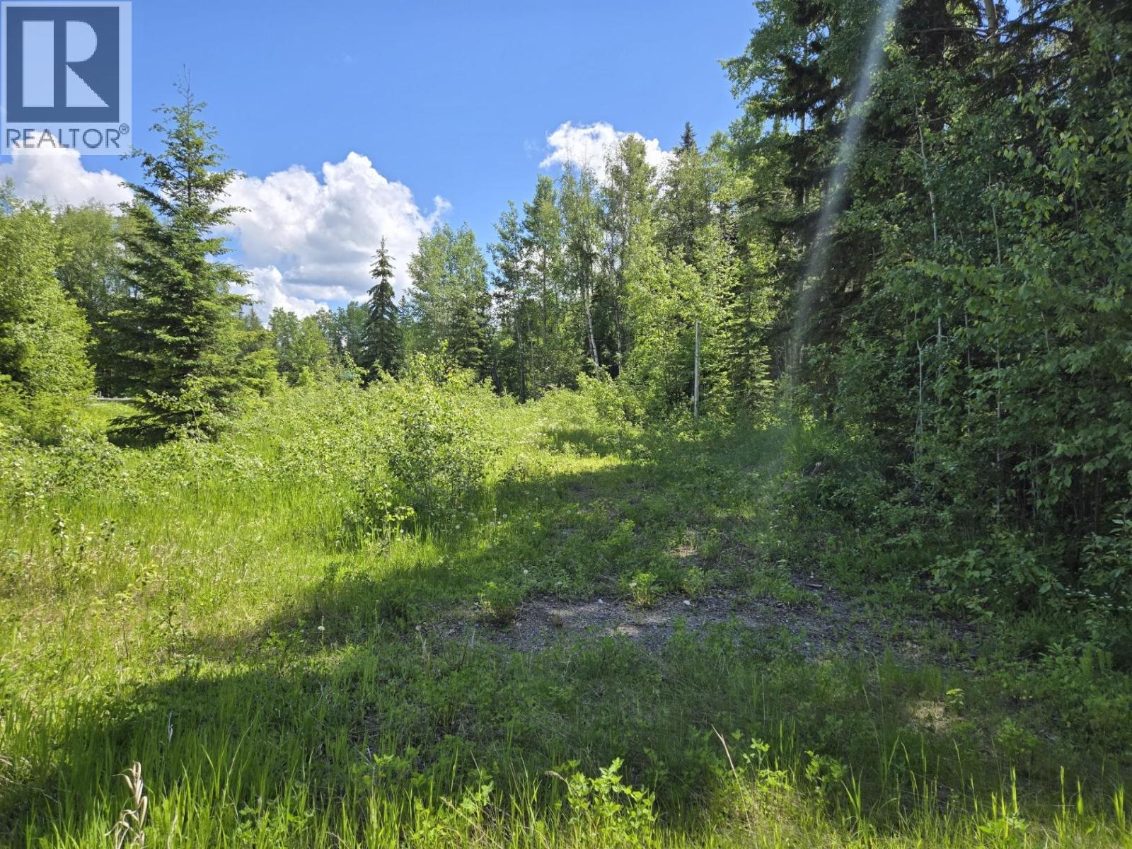 Backyard of 16270 ROBINSON ROAD · Prince George, BC