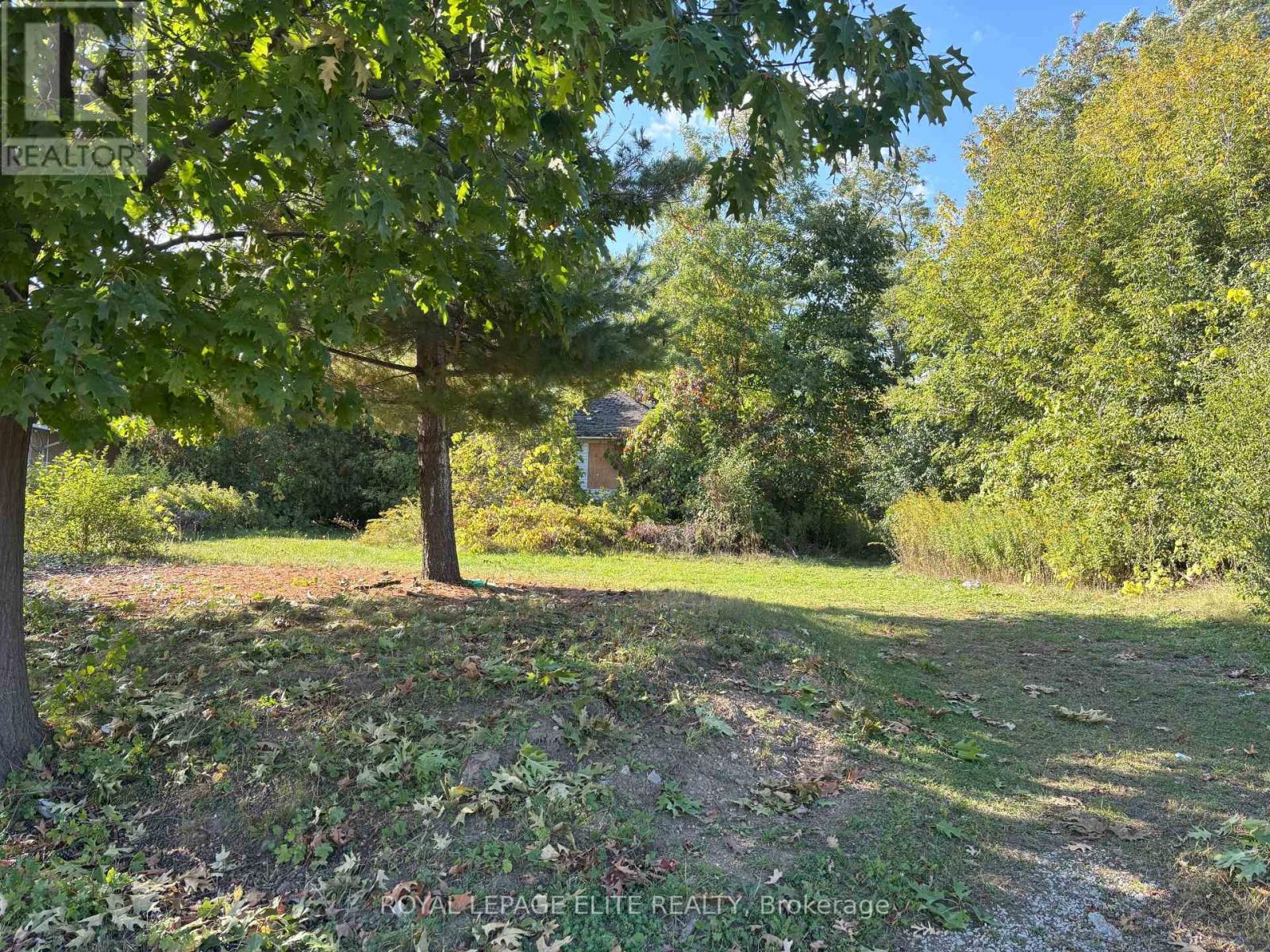 1631 EGLINTON AVENUE W - 7
