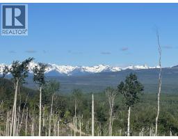 Dl 890 Pugsley Street, New Hazelton, BC V0J2J0 Photo 16