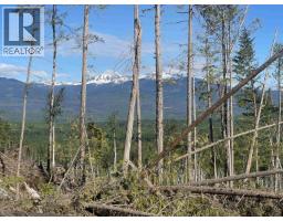 Dl 890 Pugsley Street, New Hazelton, BC V0J2J0 Photo 13