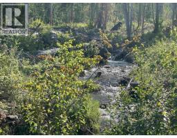 Dl 890 Pugsley Street, New Hazelton, BC V0J2J0 Photo 26