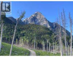 Dl 890 Pugsley Street, New Hazelton, BC V0J2J0 Photo 6