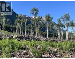 Dl 890 Pugsley Street, New Hazelton, BC V0J2J0 Photo 11
