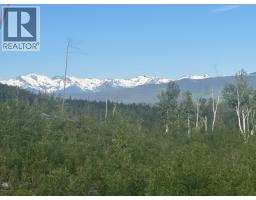 Dl 890 Pugsley Street, New Hazelton, BC V0J2J0 Photo 9