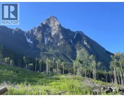 Dl 890 Pugsley Street, New Hazelton, BC V0J2J0 Photo 10
