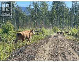 Dl 890 Pugsley Street, New Hazelton, BC V0J2J0 Photo 12