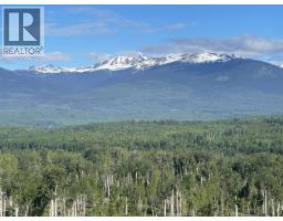 Dl 890 Pugsley Street, New Hazelton, BC V0J2J0 Photo 17